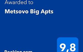 Metsovo Big Apts